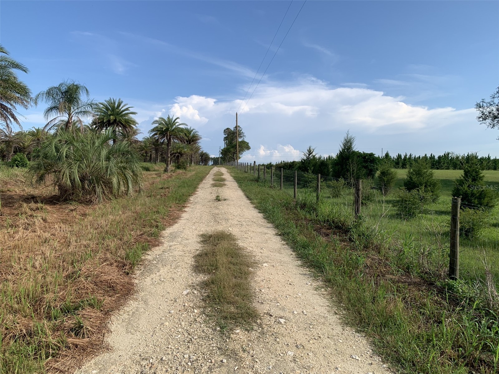 Dan Brown Hill Road #LOT 3 Brooksville FL 34602 TB8530375 image3