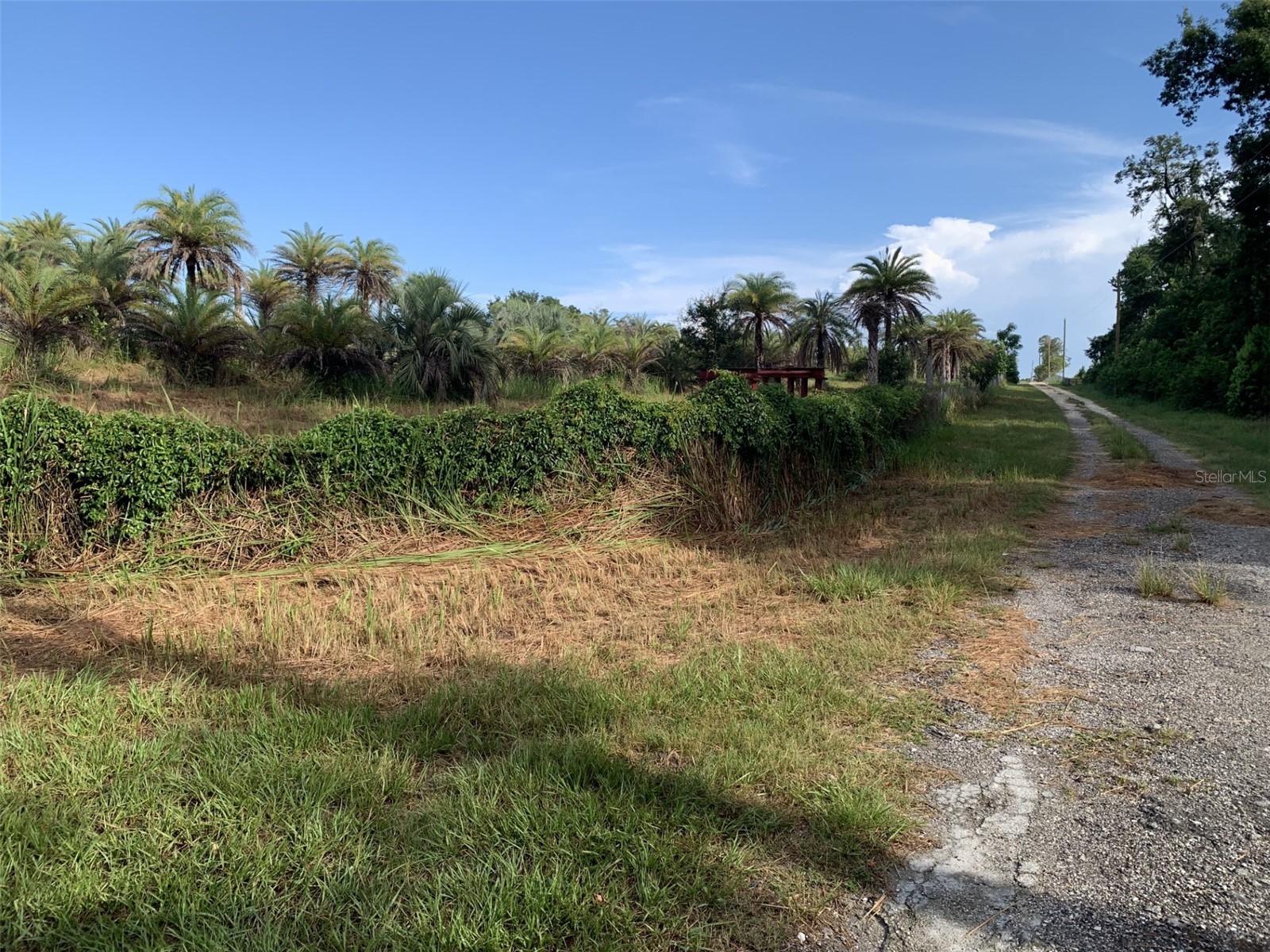 Dan Brown Hill Road #LOT 3 Brooksville FL 34602 TB8530375 image4