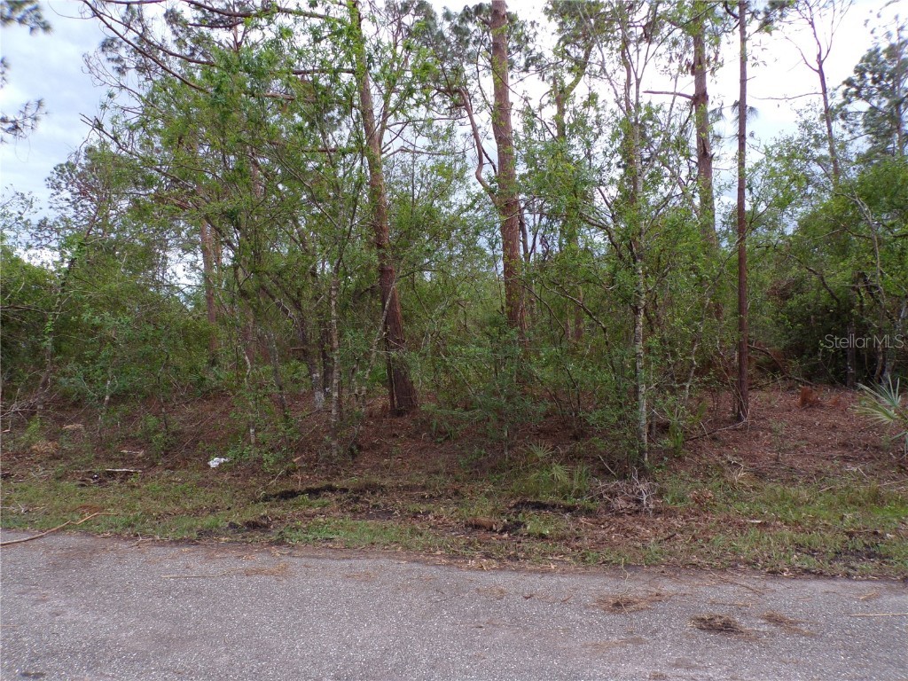 Dandurand Avenue North Port FL 34291 C7467686 image1