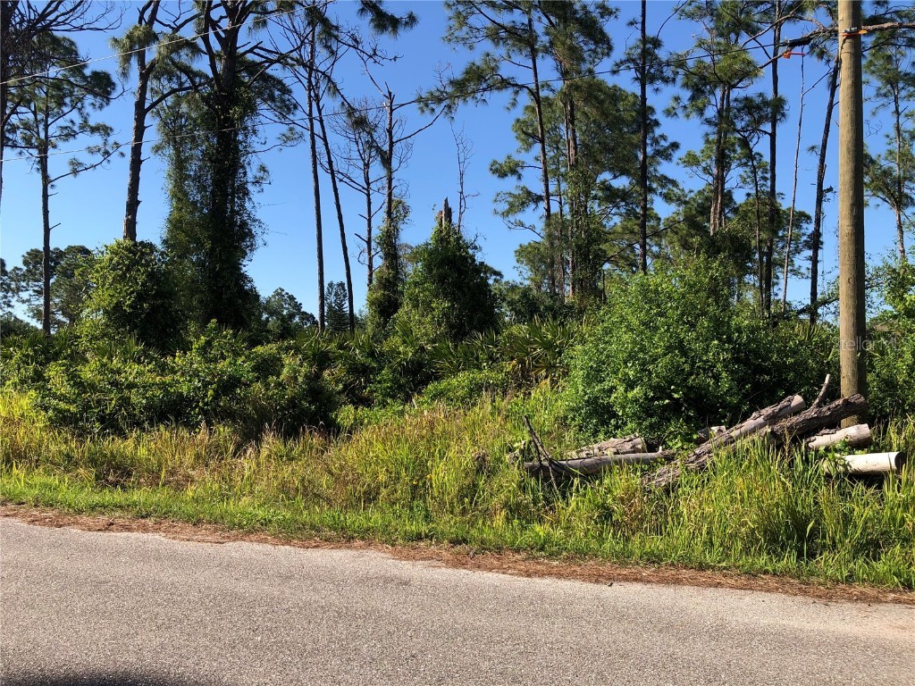 Dandurand Avenue North Port FL 34291 C7490561 image2