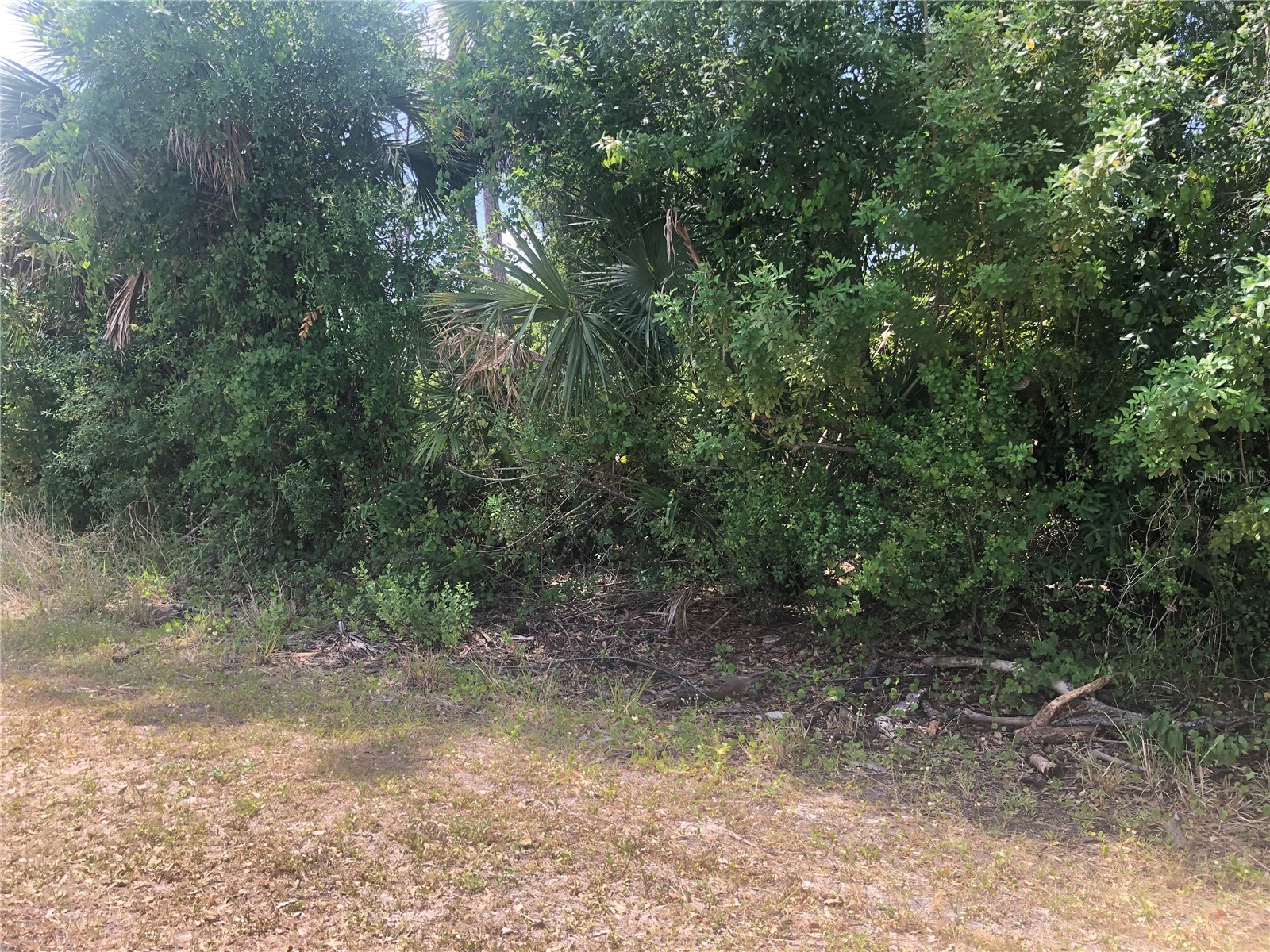 Dandurand Avenue North Port FL 34291 C7525681 image1