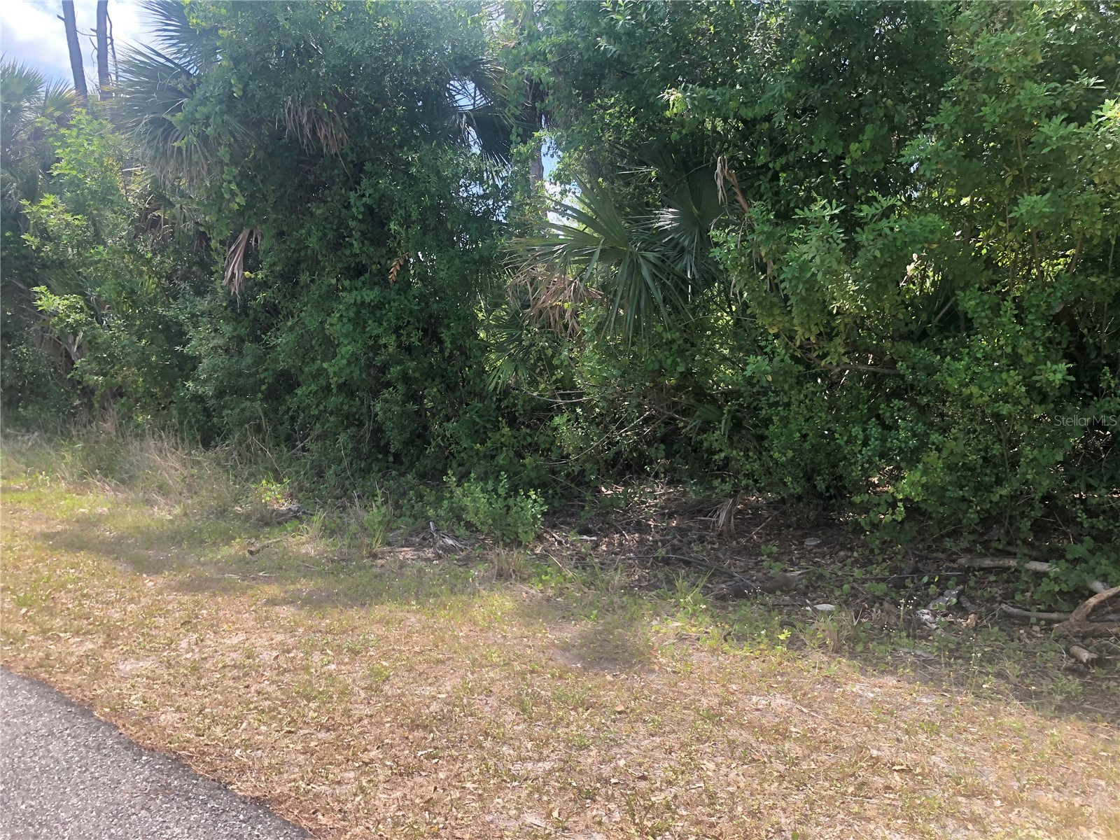 Dandurand Avenue North Port FL 34291 C7525681 image2