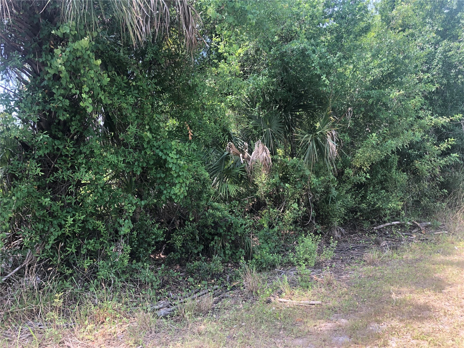 Dandurand Avenue North Port FL 34291 C7525681 image3