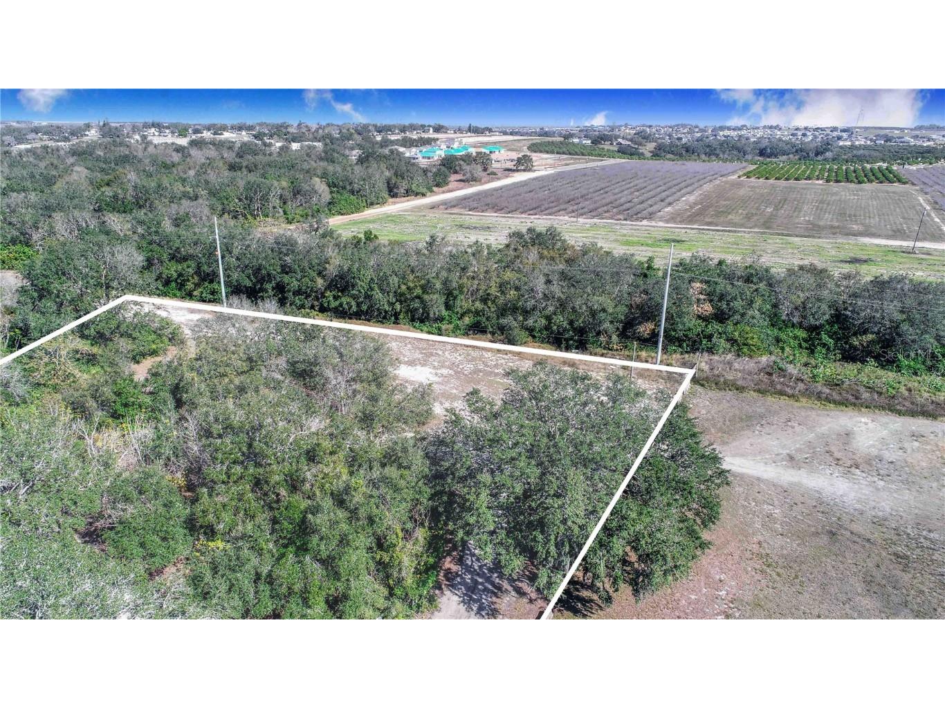 Daniel Street Dundee FL 33838 P4933485 image4