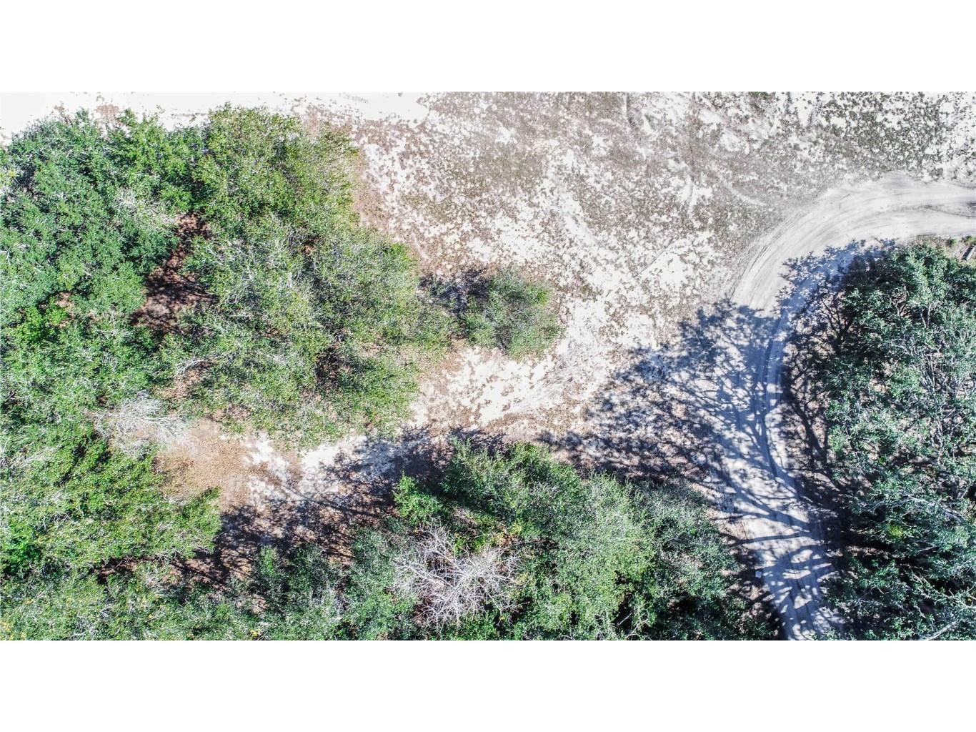 Daniel Street Dundee FL 33838 P4933485 image5