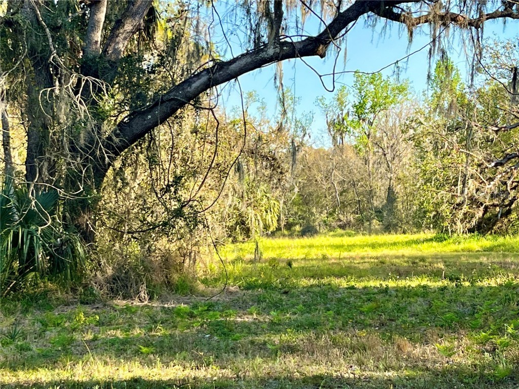 Dansby Road Wauchula FL 33873 - TROUBLESOME CREEK L4943021 image1