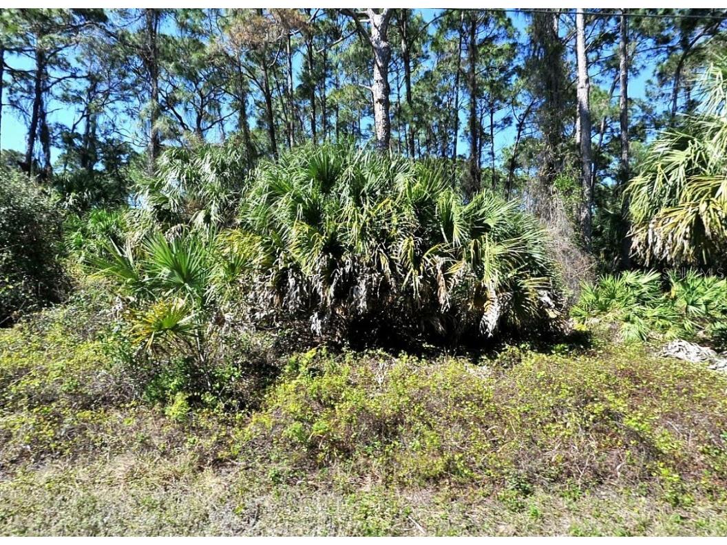 Daphne Road North Port FL 34288 D6139656 image1