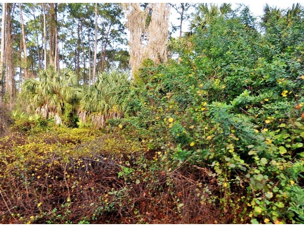 Daphne Road North Port FL 34288 D6139657 image1