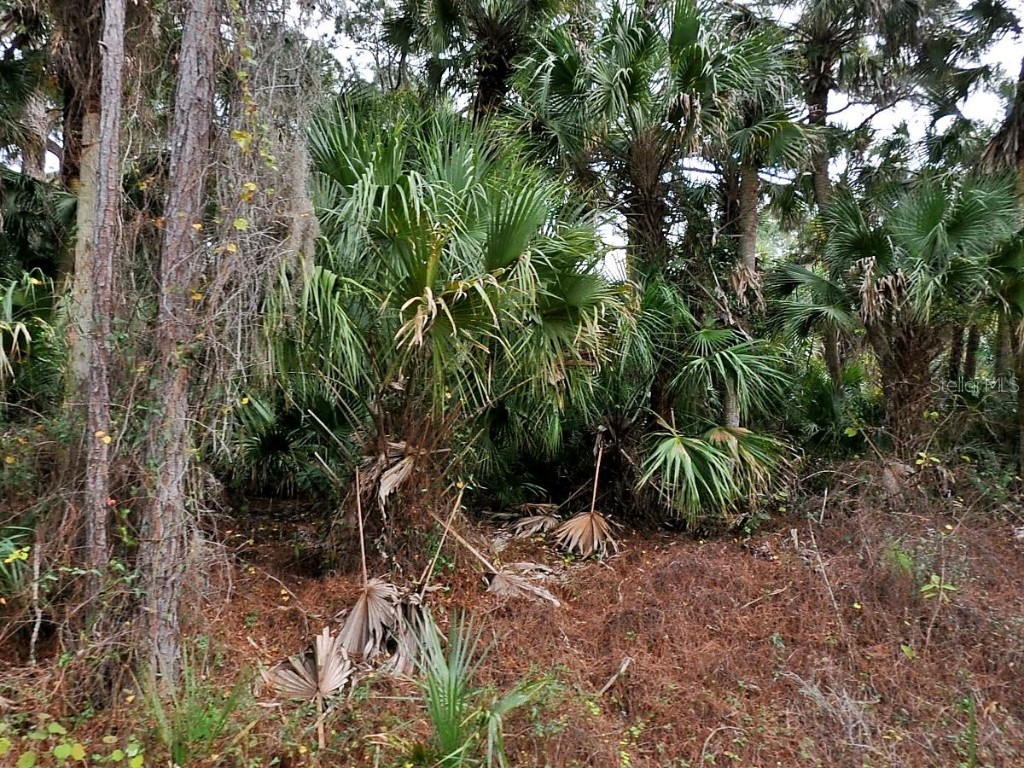 Daphne Road North Port FL 34288 TB8366965 image1