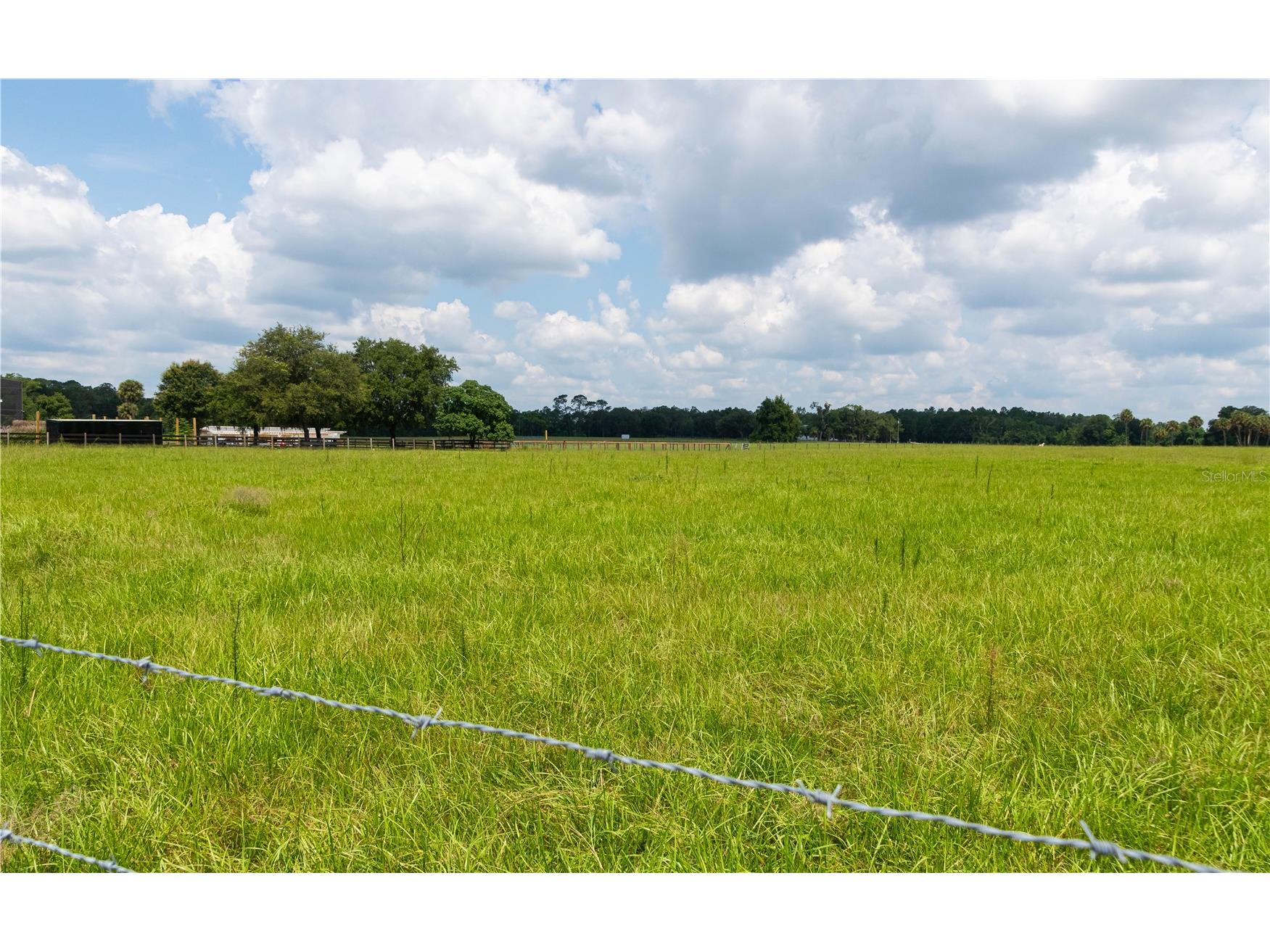 Daugharty Rd. Deland FL 32720 V4950247 image6