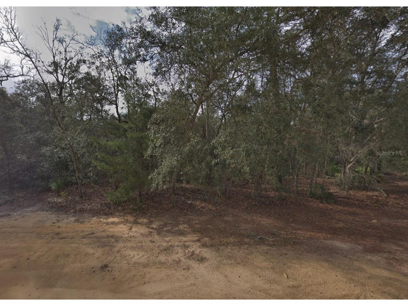 David Avenue Interlachen FL 32148 C7526193 image1