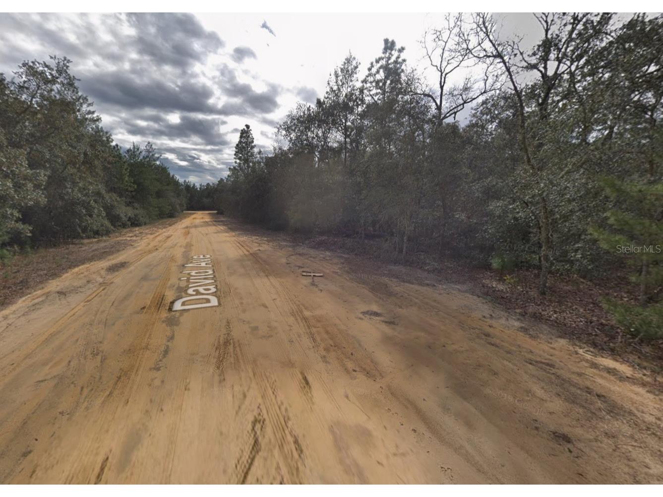 David Avenue Interlachen FL 32148 C7526193 image2