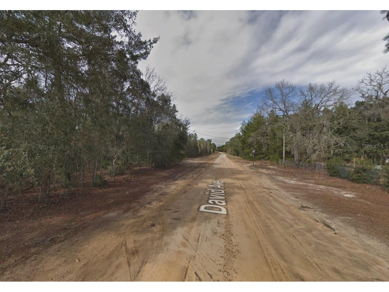 David Avenue Interlachen FL 32148 C7526193 image3