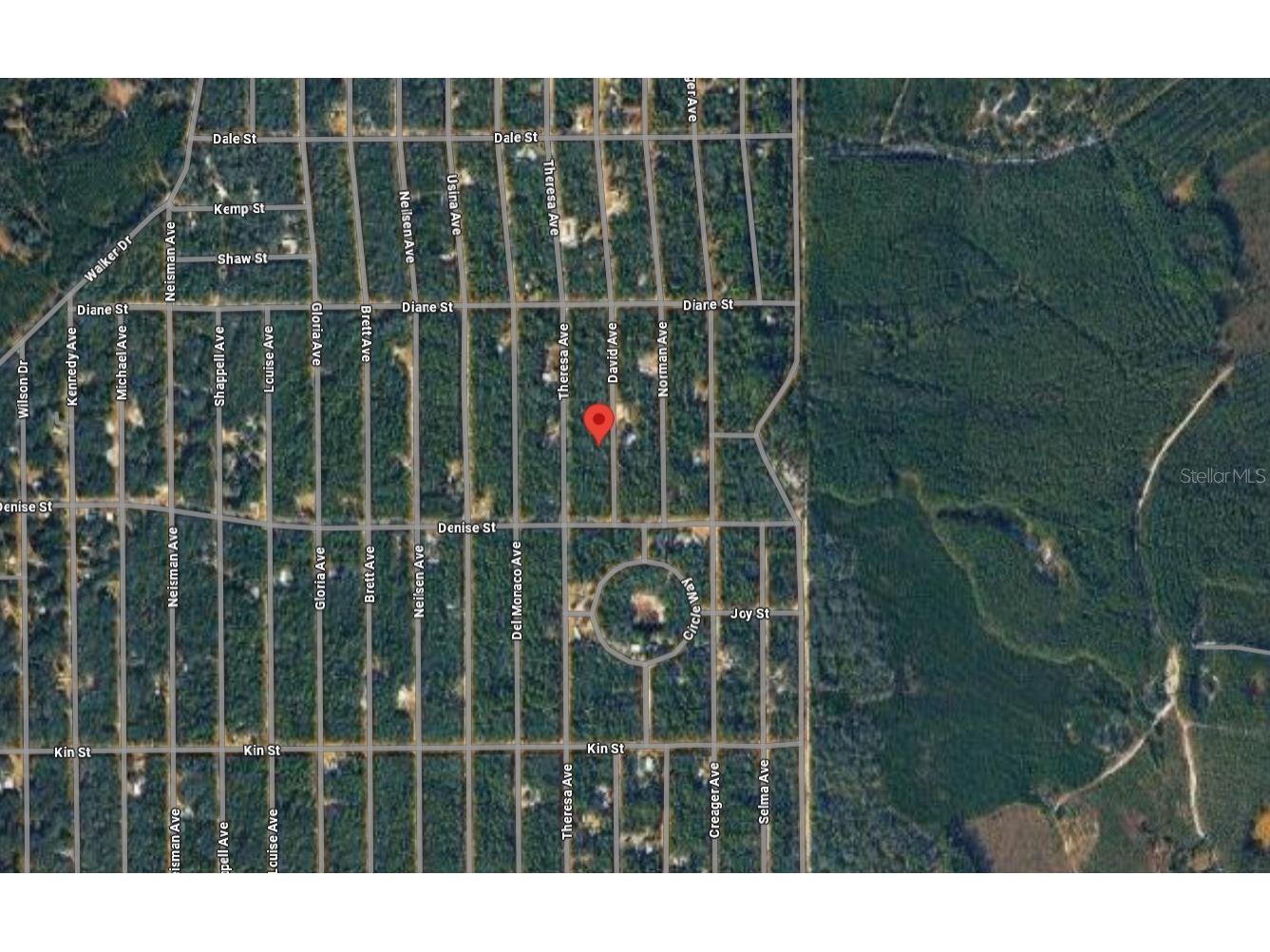 David Avenue Interlachen FL 32148 C7526193 image4