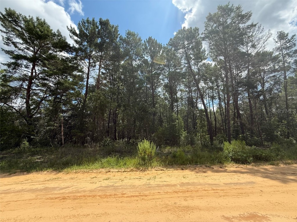 David Avenue Interlachen FL 32148 W7878208 image1