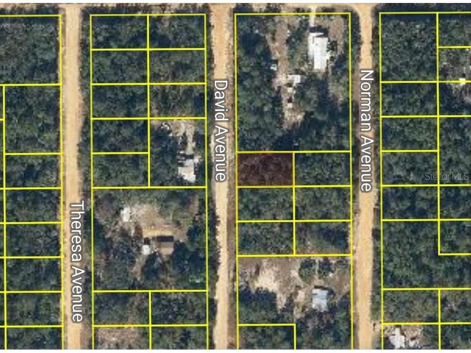 David Avenue Interlachen FL 32148 W7878208 image2