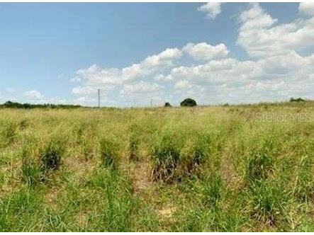 Davis Brothers Road Frostproof FL 33843 P4936026 image2