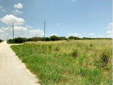 Davis Brothers Road Frostproof FL 33843 P4936026 image3