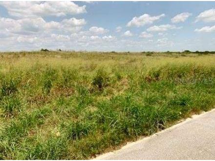 Davis Brothers Road Frostproof FL 33843 P4936026 image5