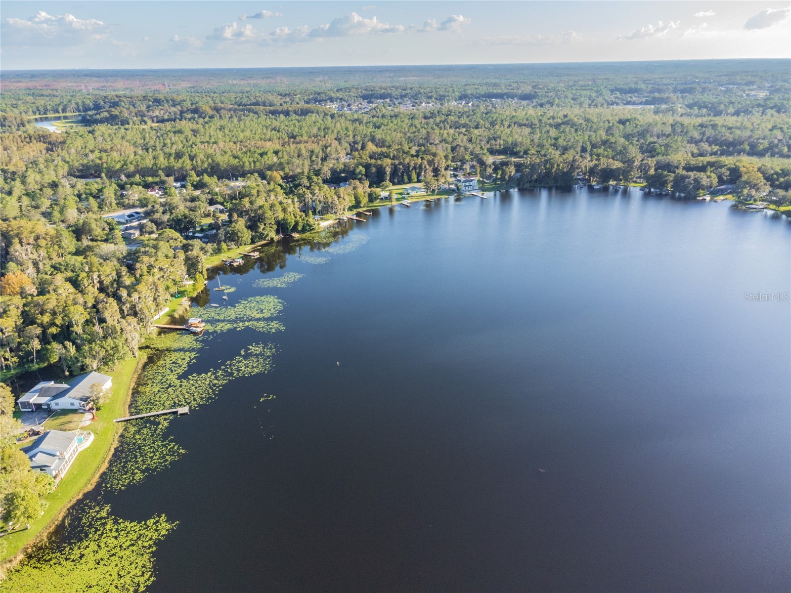 Davista New Port Richey FL 34654 TB8499549 image10