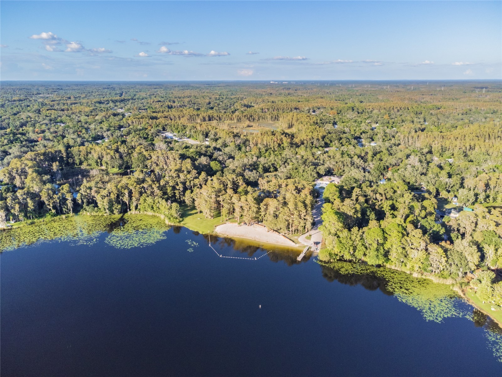 Davista New Port Richey FL 34654 TB8499549 image11