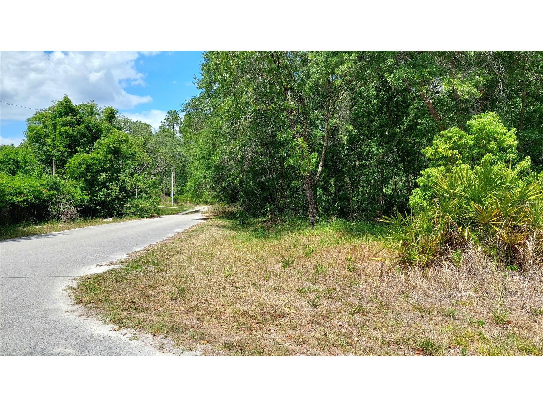 Davista New Port Richey FL 34654 TB8499549 image2