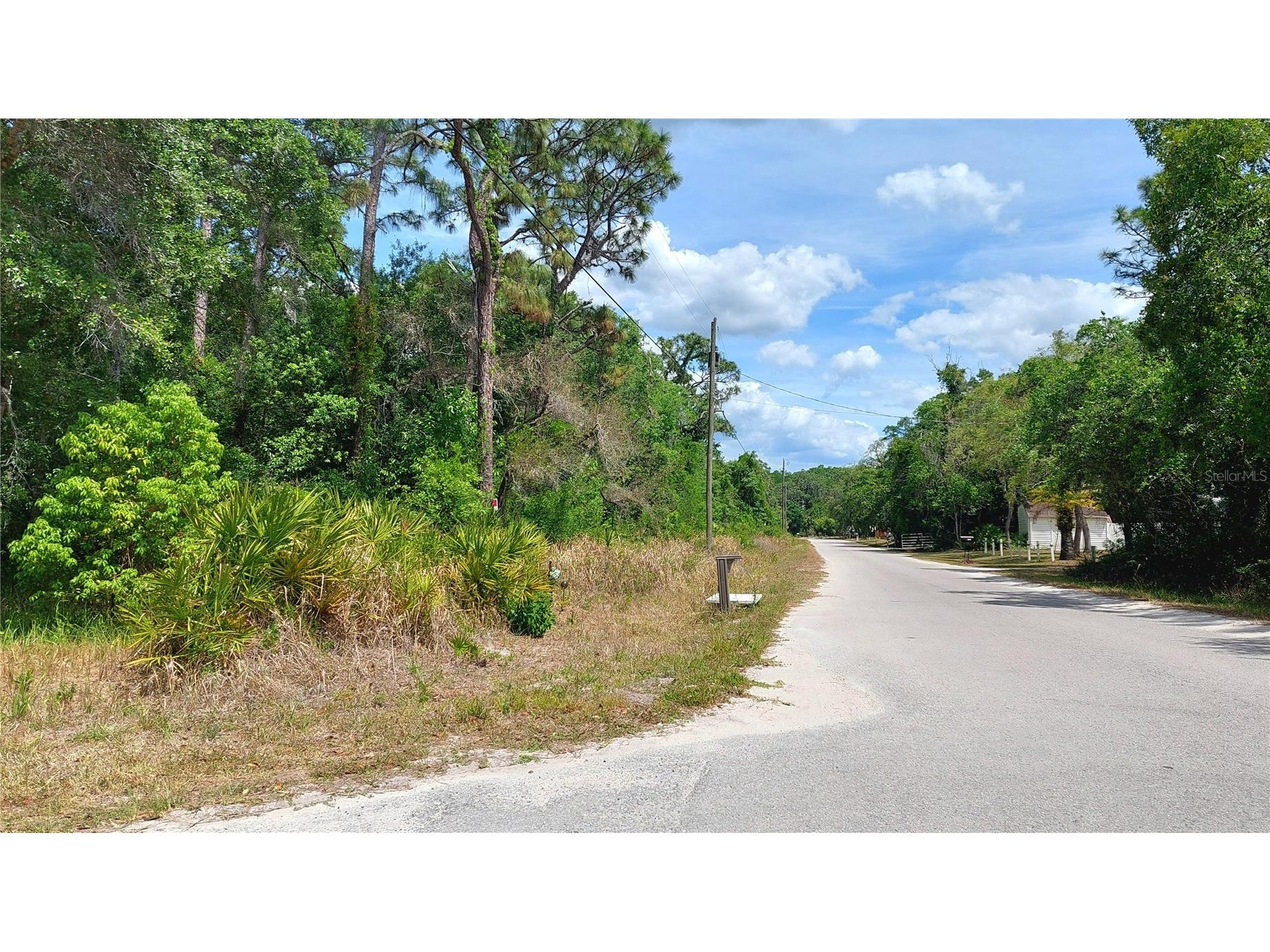 Davista New Port Richey FL 34654 TB8499549 image3