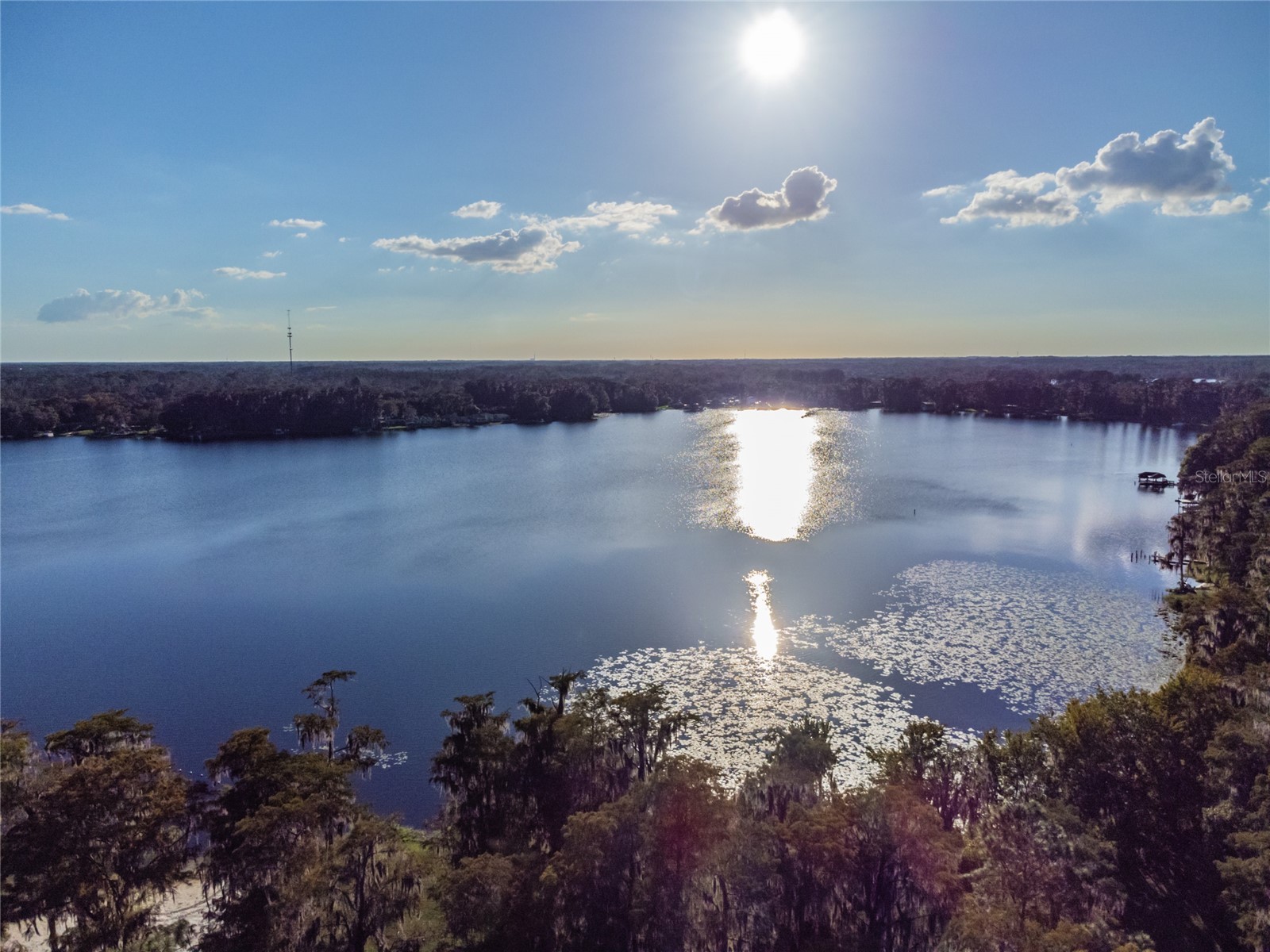 Davista New Port Richey FL 34654 TB8499549 image5