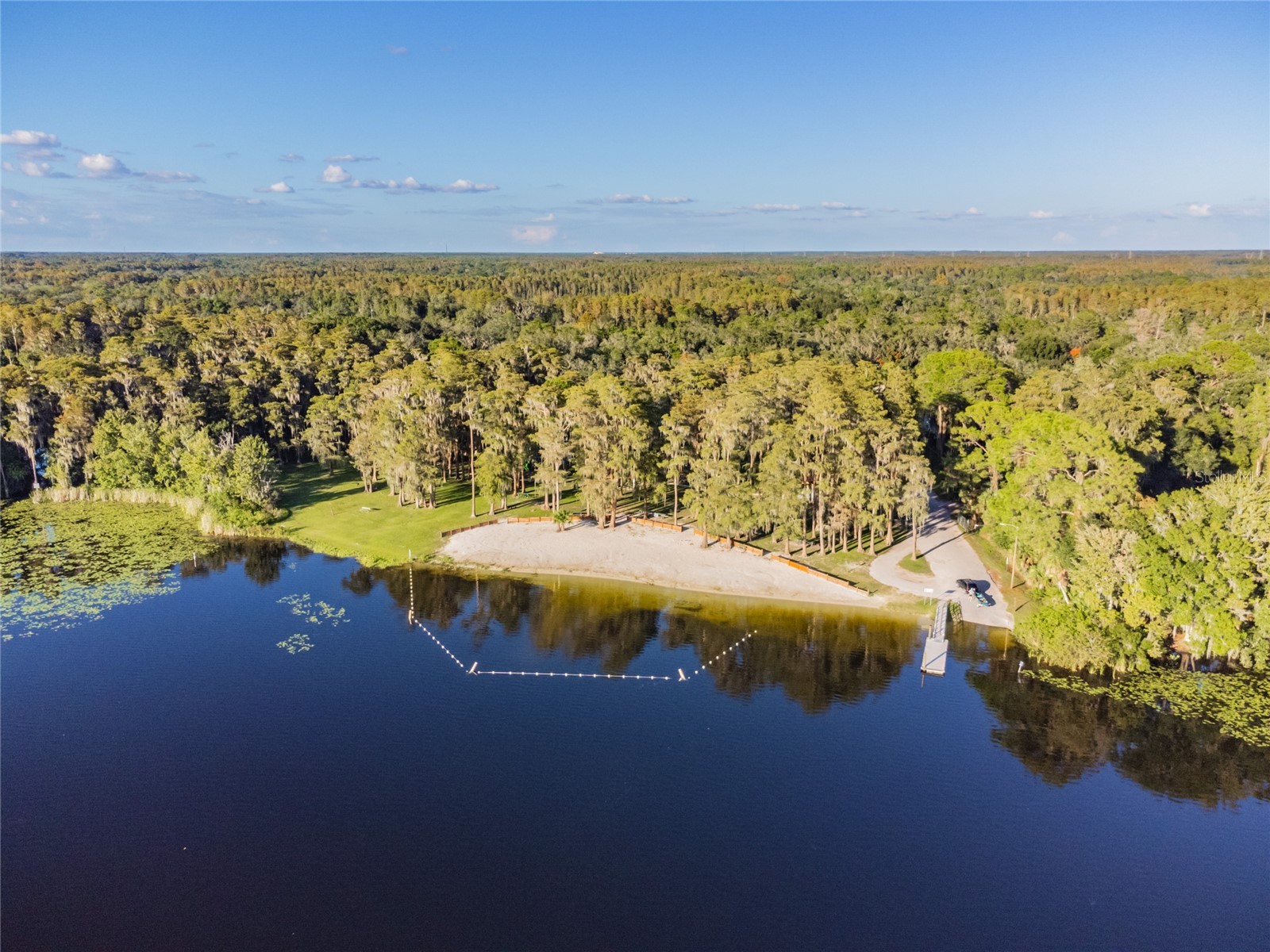Davista New Port Richey FL 34654 TB8499549 image7