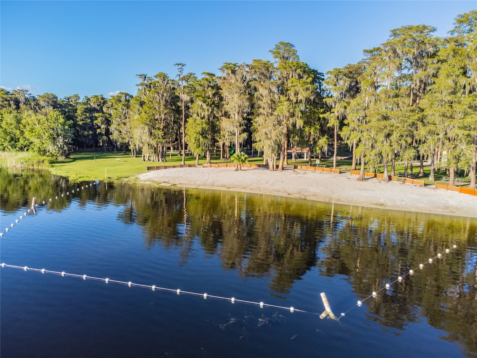 Davista New Port Richey FL 34654 TB8499549 image9