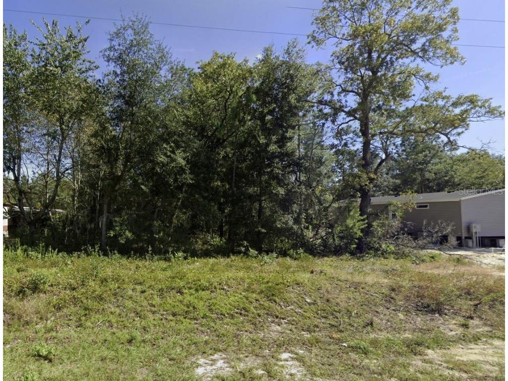 Dawn Avenue Interlachen FL 32148 OK225528 image1