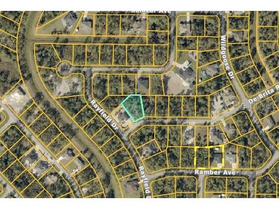 De Brita Road North Port FL 34291 C7524979 image6