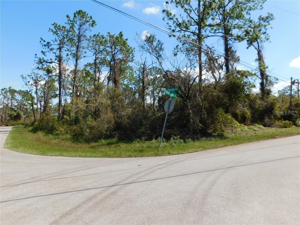 De Garmo Street North Port FL 34291 N6123494 image1