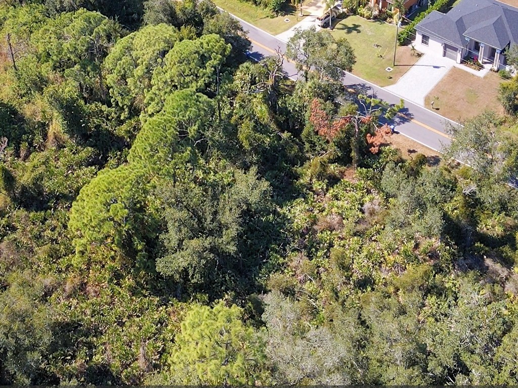 De Leon Drive North Port FL 34287 C7517784 image10