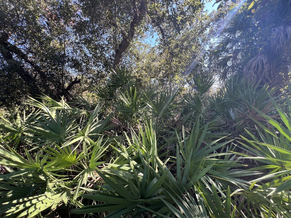 De Leon Drive North Port FL 34287 C7517784 image5