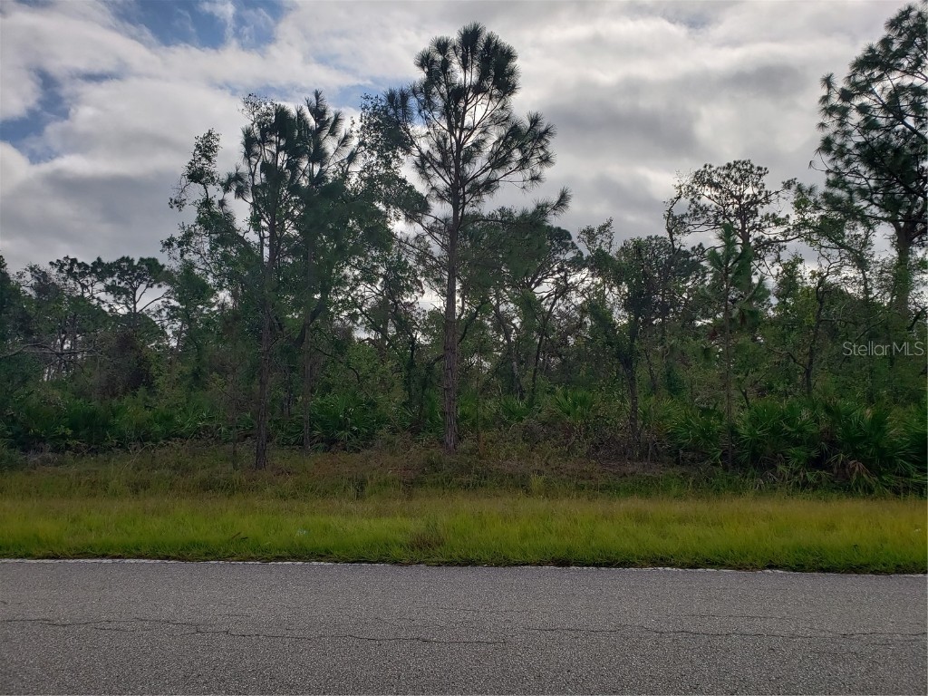 De Leon Lots 26 & 27 North Port FL 34287 D6127941 image1