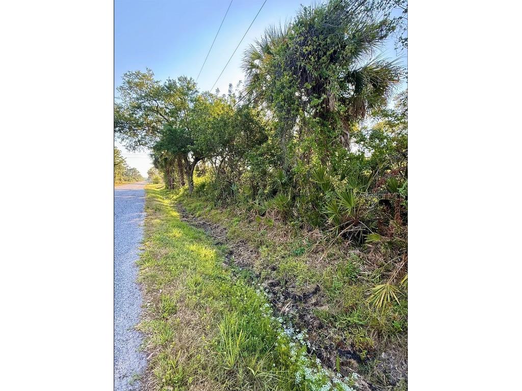 De Miranda Avenue North Port FL 34287 N6138795 image4