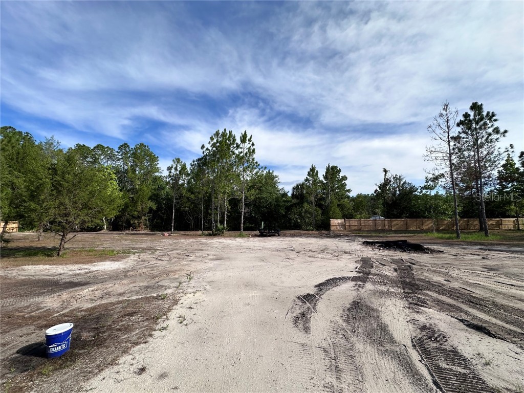 Deborah Court Astor FL 32102 V4936890 image1