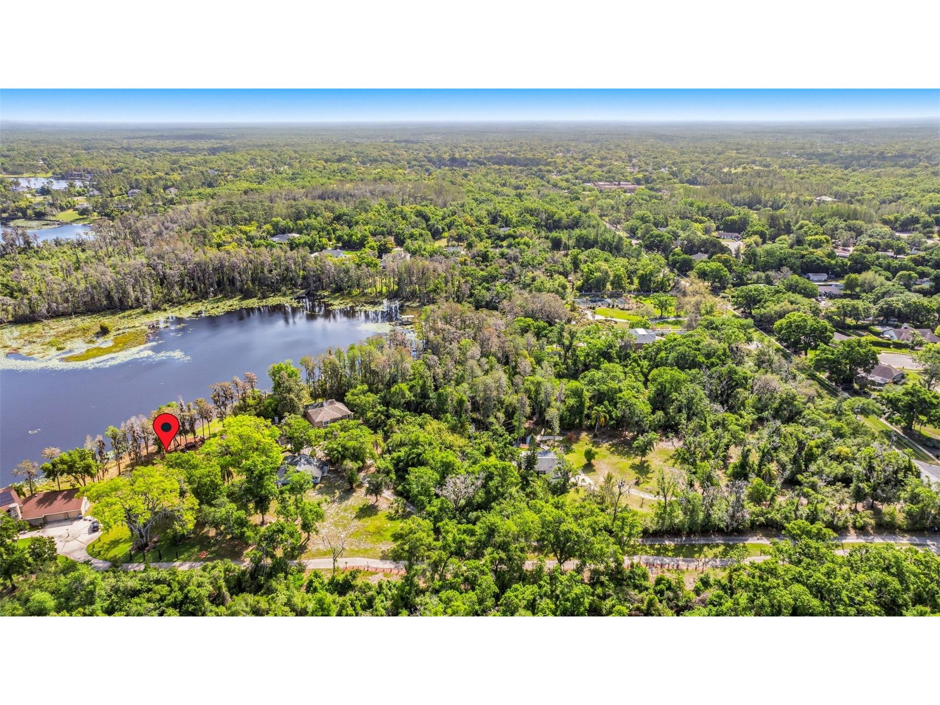 Debuel Road Lutz FL 33549 TB8492726 image10