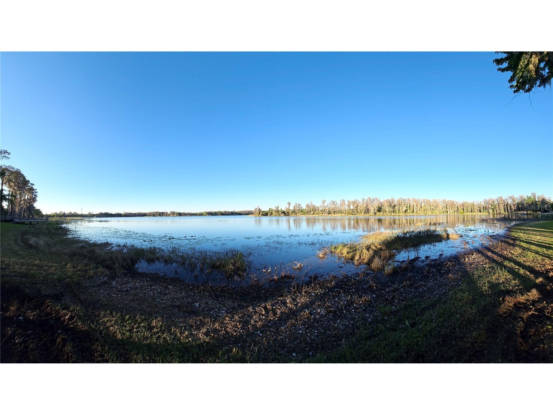 Debuel Road Lutz FL 33549 TB8492726 image13