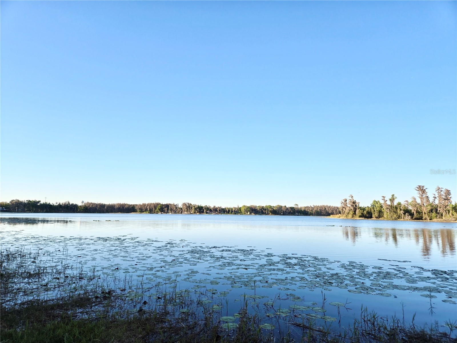 Debuel Road Lutz FL 33549 TB8492726 image14