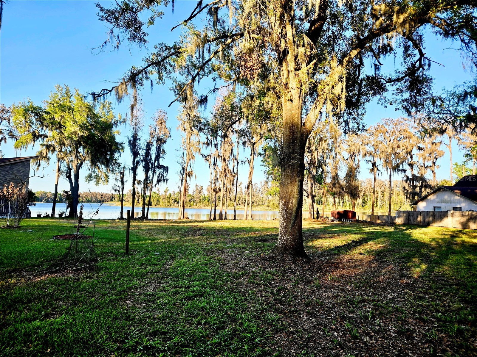 Debuel Road Lutz FL 33549 TB8492726 image16