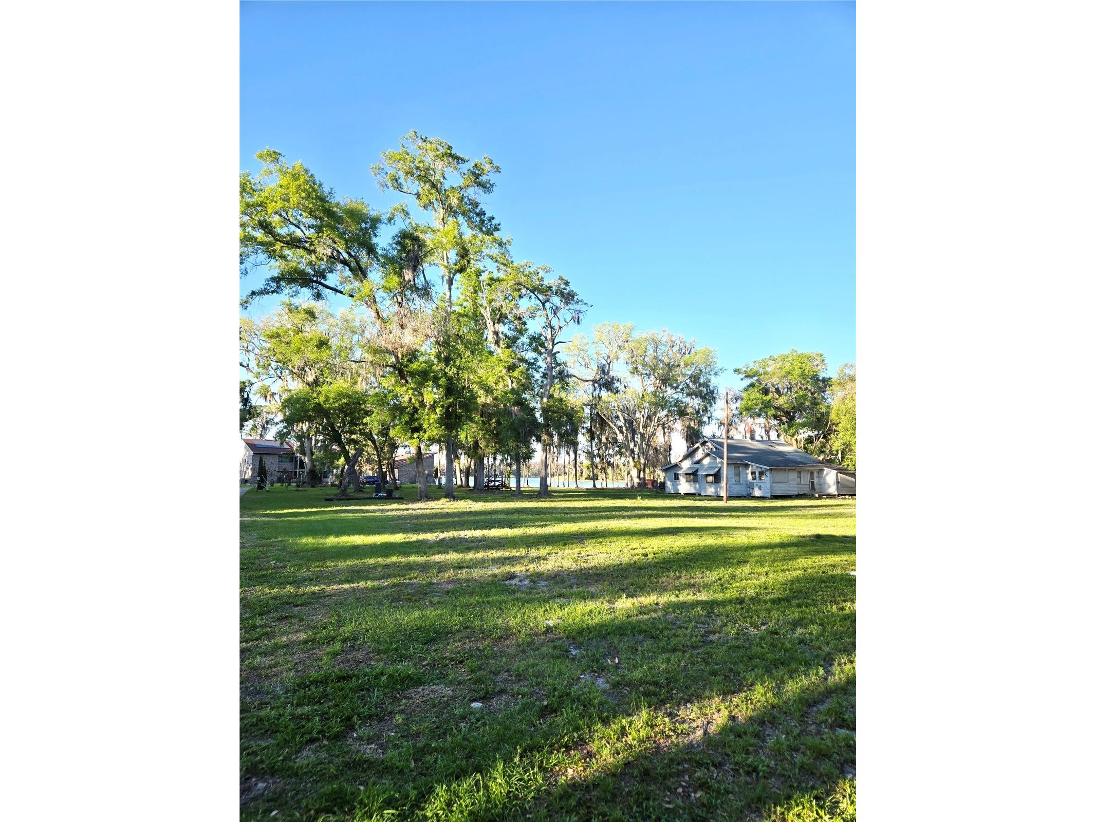 Debuel Road Lutz FL 33549 TB8492726 image17