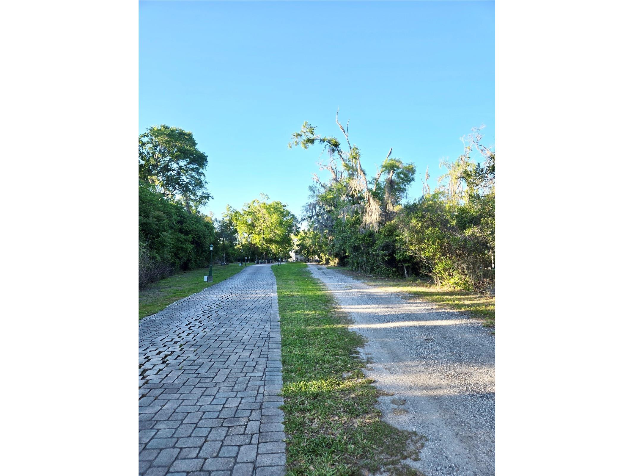 Debuel Road Lutz FL 33549 TB8492726 image18