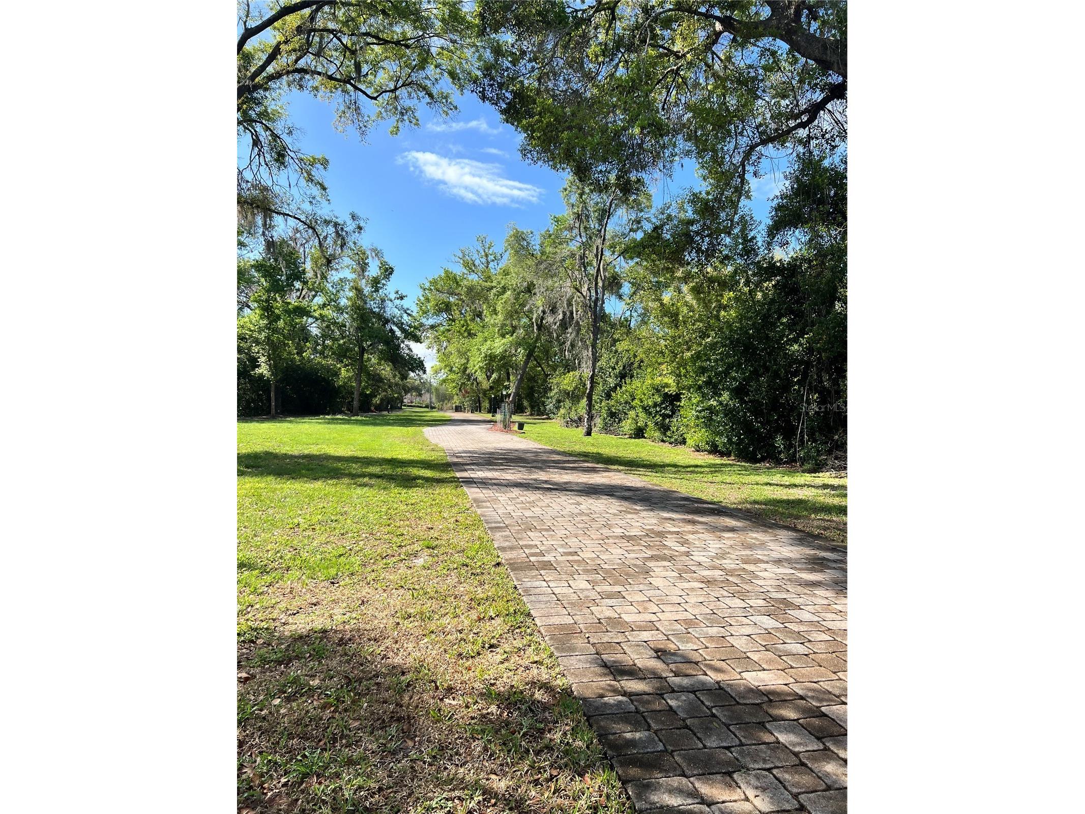 Debuel Road Lutz FL 33549 TB8492726 image19