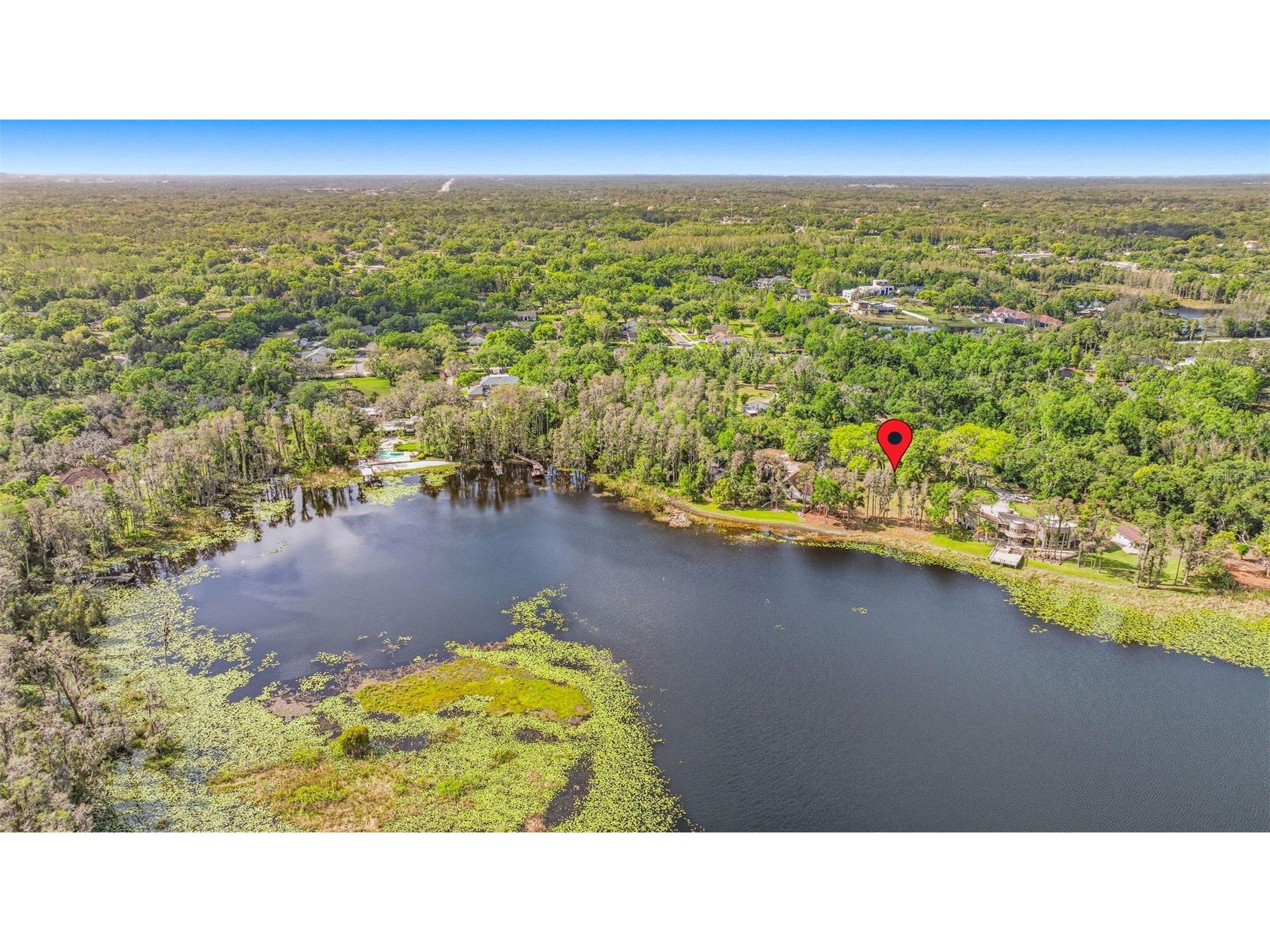 Debuel Road Lutz FL 33549 TB8492726 image3