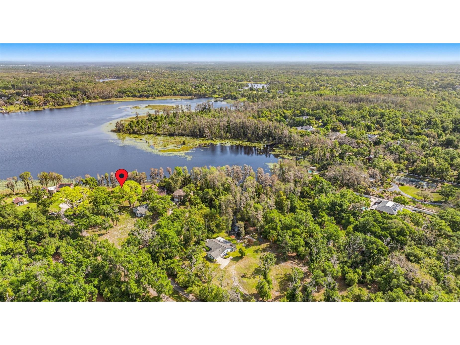 Debuel Road Lutz FL 33549 TB8492726 image6