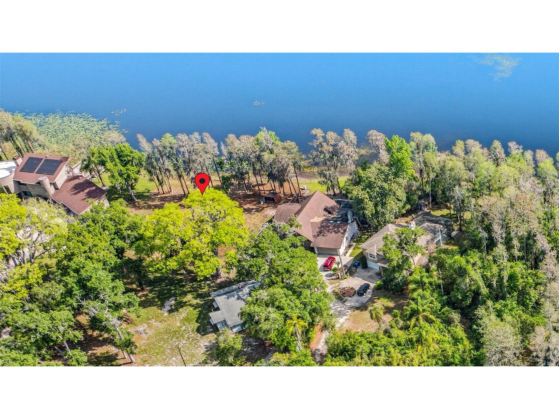 Debuel Road Lutz FL 33549 TB8492726 image7