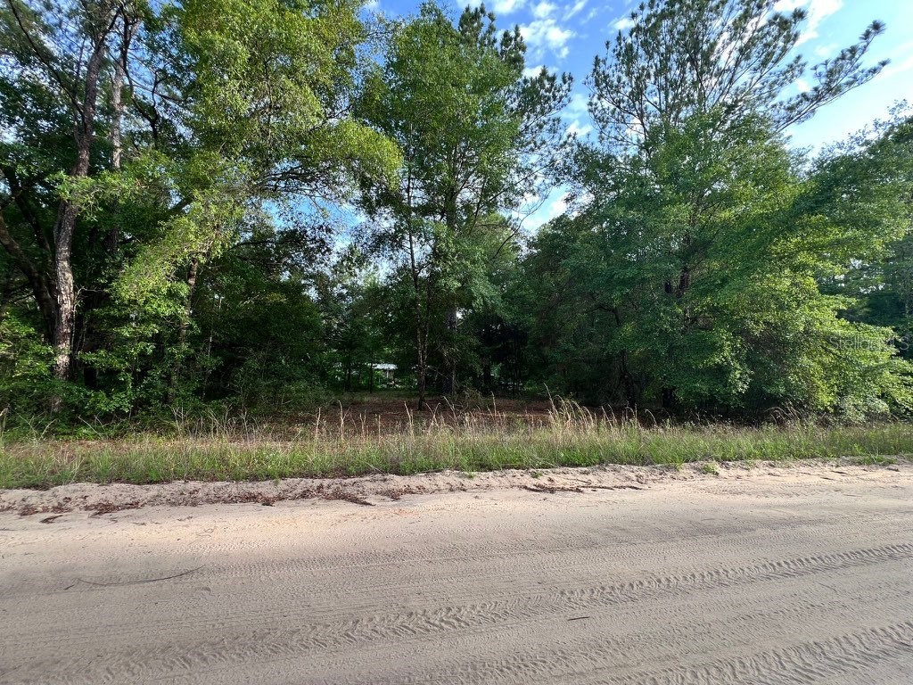 Decker Street Lot 12 13 Interlachen FL 32148 O6402641 image1