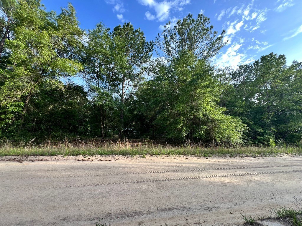 Decker Street Lot 12 13 Interlachen FL 32148 O6402641 image2